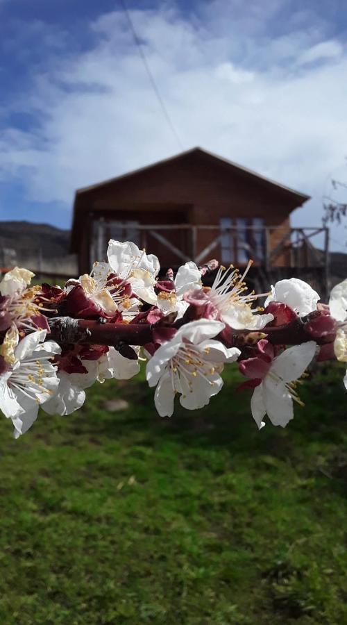 Sol De La Patagonia Bed & Breakfast Puerto Guadal Exterior foto